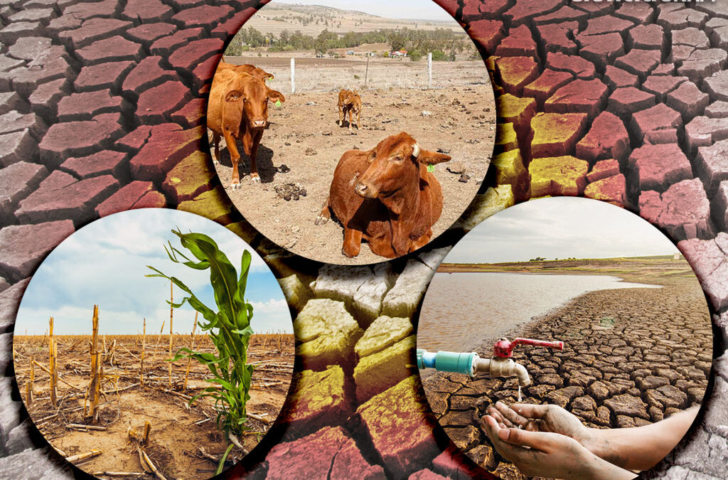 !25 paises se estan quedando sin agua! una cuarta parte de la poblacion mundial entrara en crisis