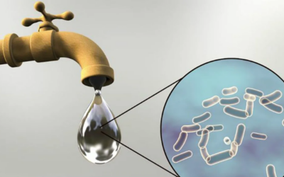 Colera tifoidea, hepatitis (A) y parasitosis principales enfermeddes por falta de agua potable