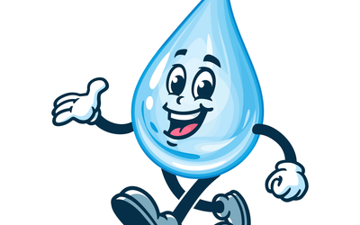 ! 2026 AÑO DEL AGUA !